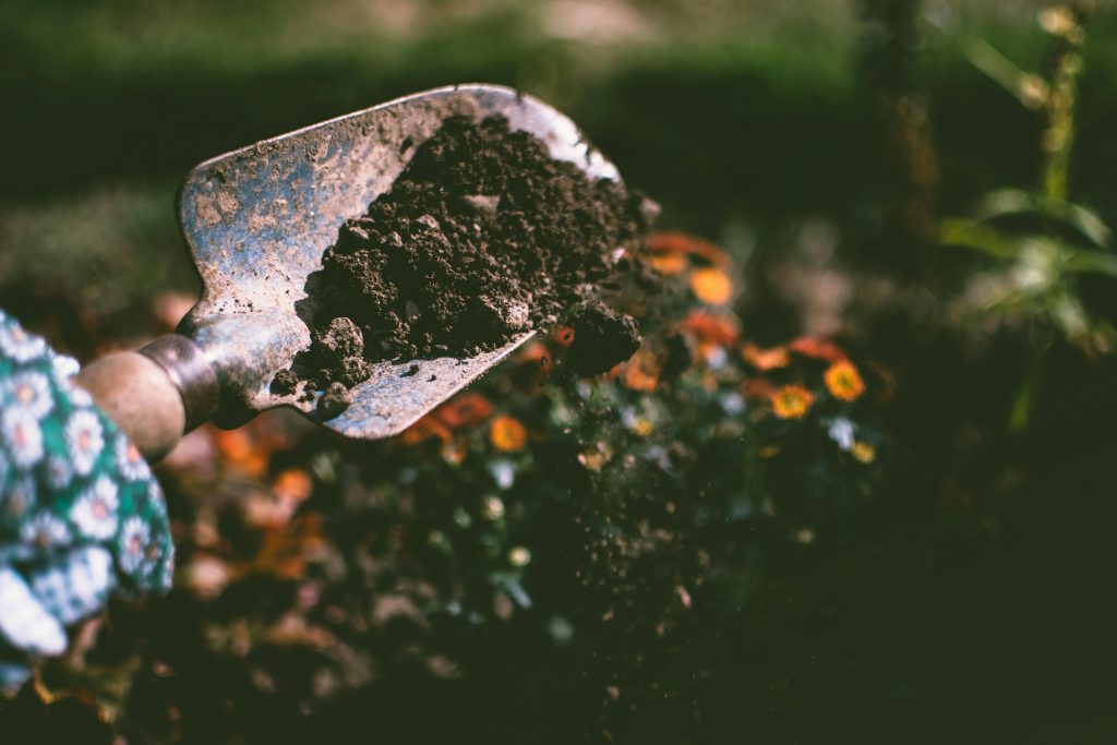 Close-up of a gardening shovel with soil, surrounded by vibrant blooms in an outdoor garden setting.